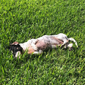 Meet your Posher, Amy